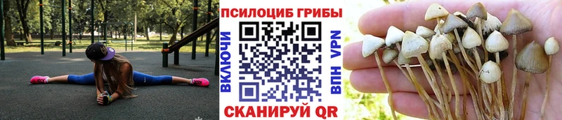 Галлюциногенные грибы MAGIC MUSHROOMS  Туапсе 