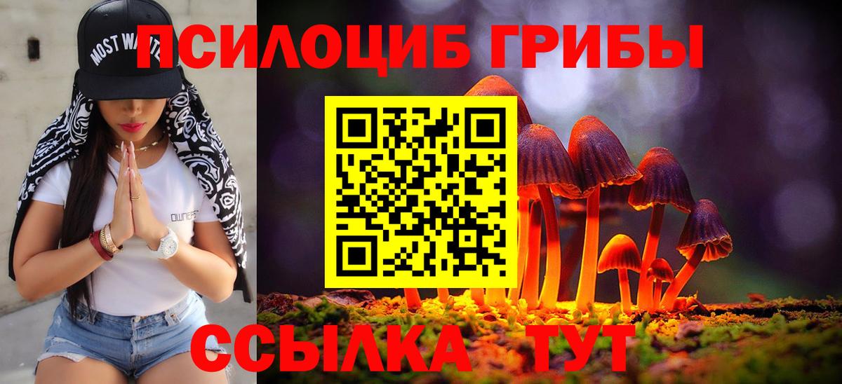Псилоцибиновые грибы Magic Shrooms Туапсе